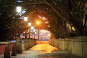 Paseo