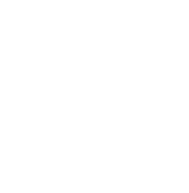 X Icon